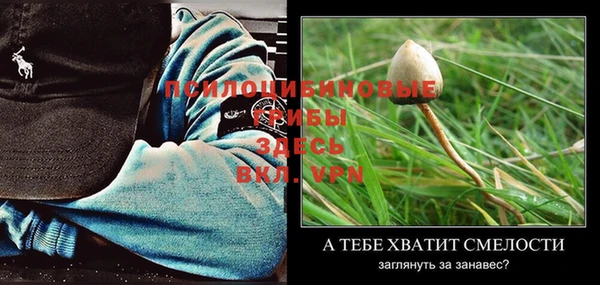 MDMA Premium VHQ Магас