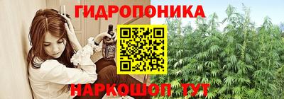 гашик Кинель