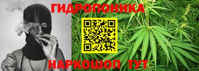 гашик Кинель