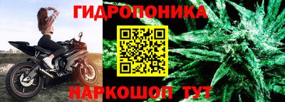 дживик Кимры